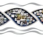 75th Anniversary Hospital Lobby Art for Door County Medical Center