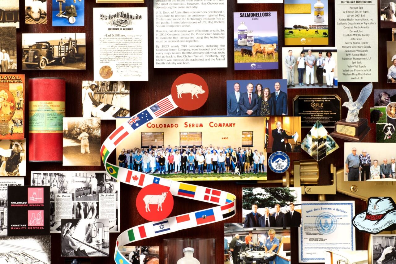 Close-up of 3D miniature objects in commemorative collage