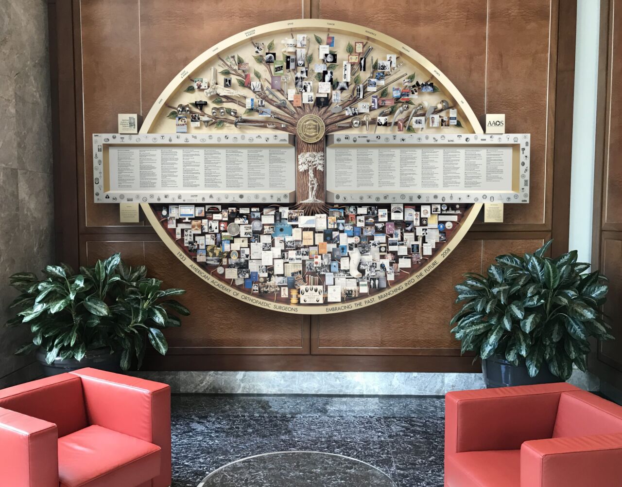 Large shadow box collage hanging in lobby that commemorates American Academy of Orthopaedic Surgeons 75th Anniversary