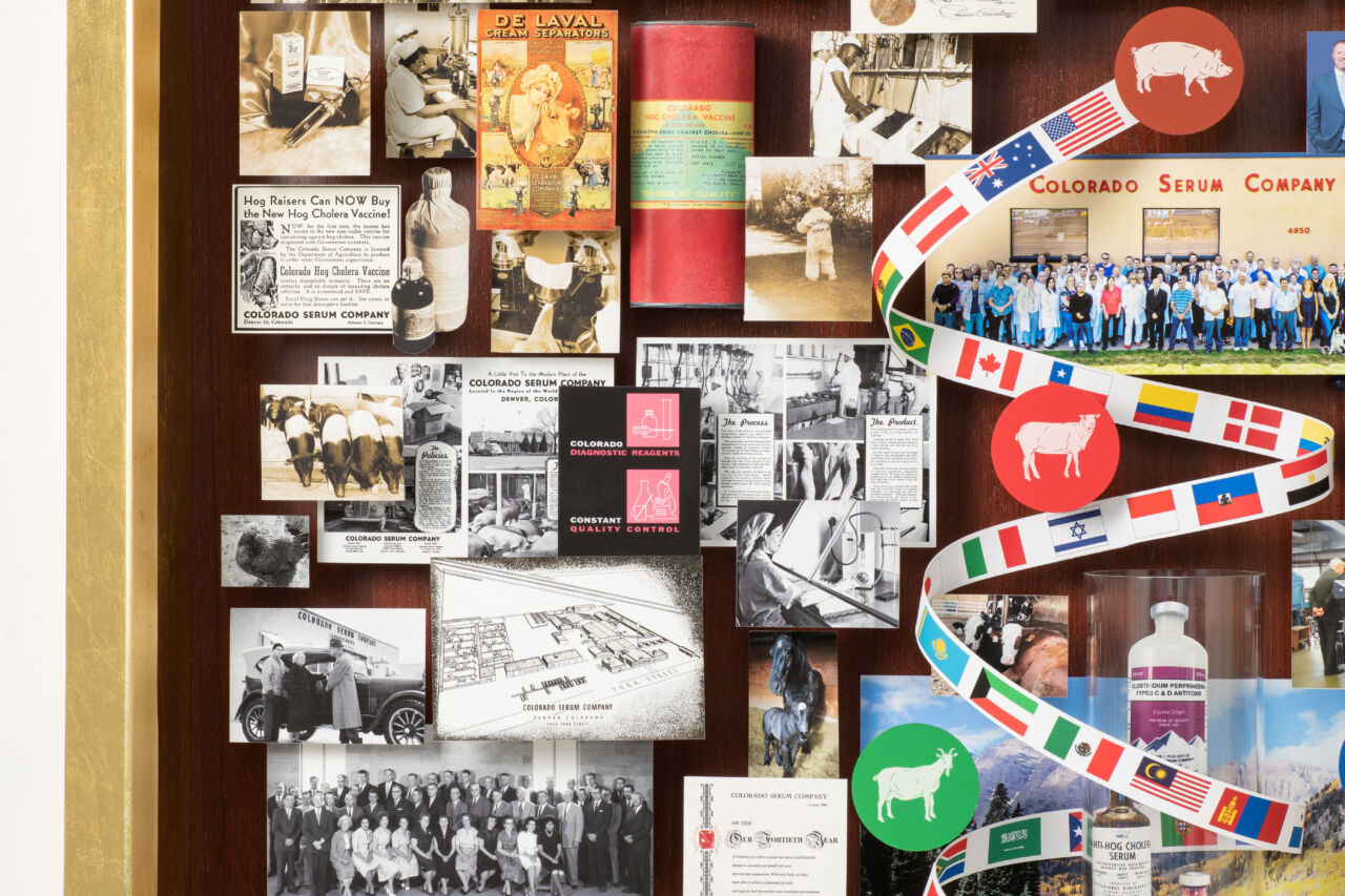 Close-up of 3D objects in Colorado Serum anniversary collage